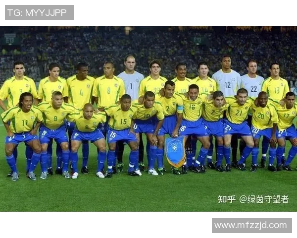 足球明星希特尔的传奇生涯与成就全解析