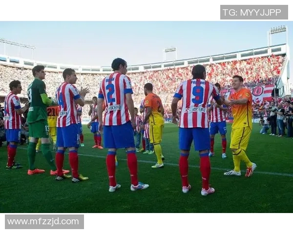 足球明星们的脸部合拍图展现了他们的个性与魅力，感受足球的激情与风采